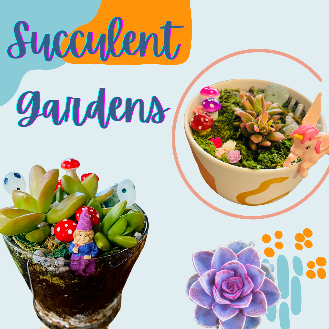 succulent garden class Workshop : Mini Succulent Garden